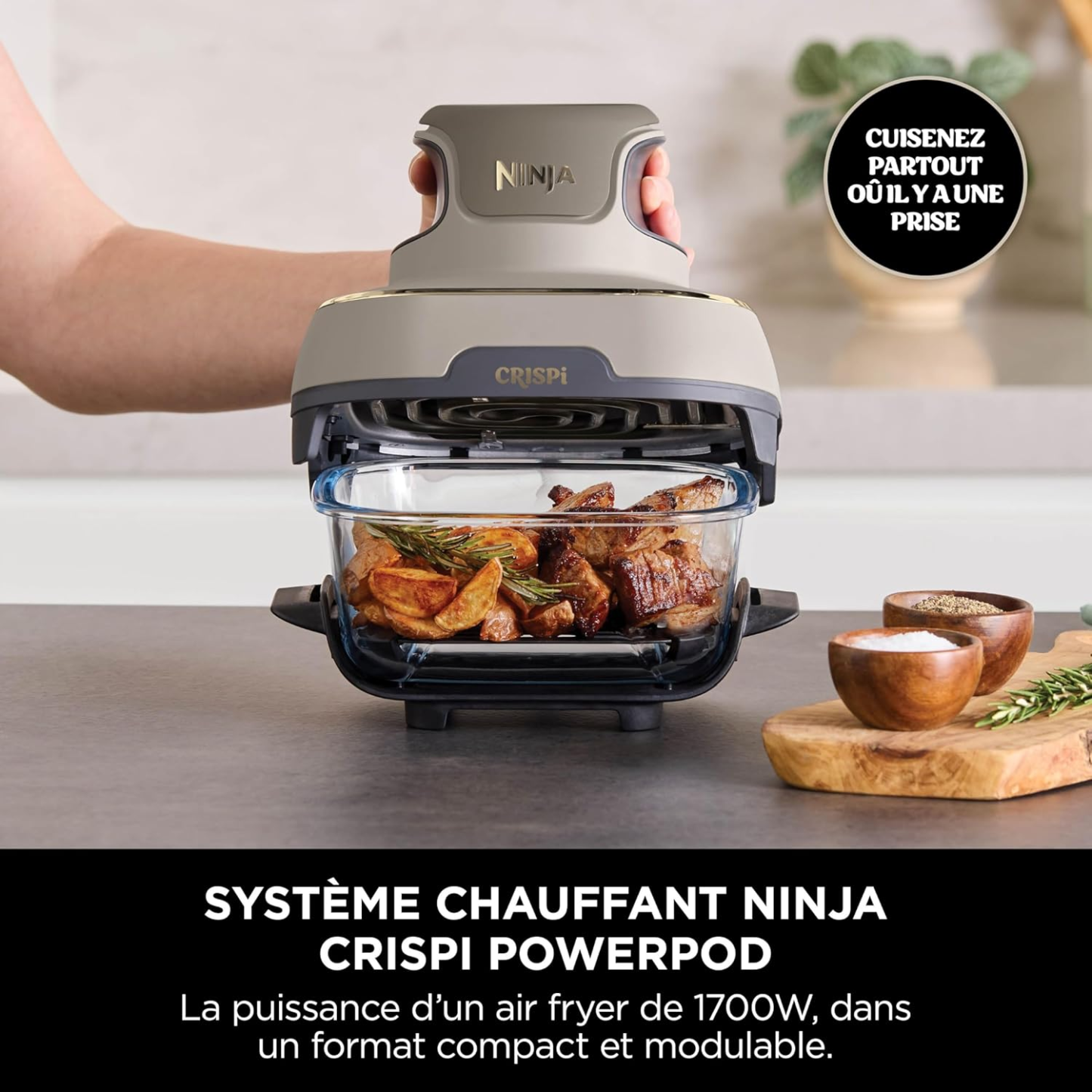 Ninja CRISPi Friteuse sans huile portable, 3,8L, 4-en-1 : Frire sans huile, Rôtir, Garder au chaud, Recroustiller, Design compact, 2 récipients avec couvercles, 1 700 W, Stone/or FN101EUSTGD