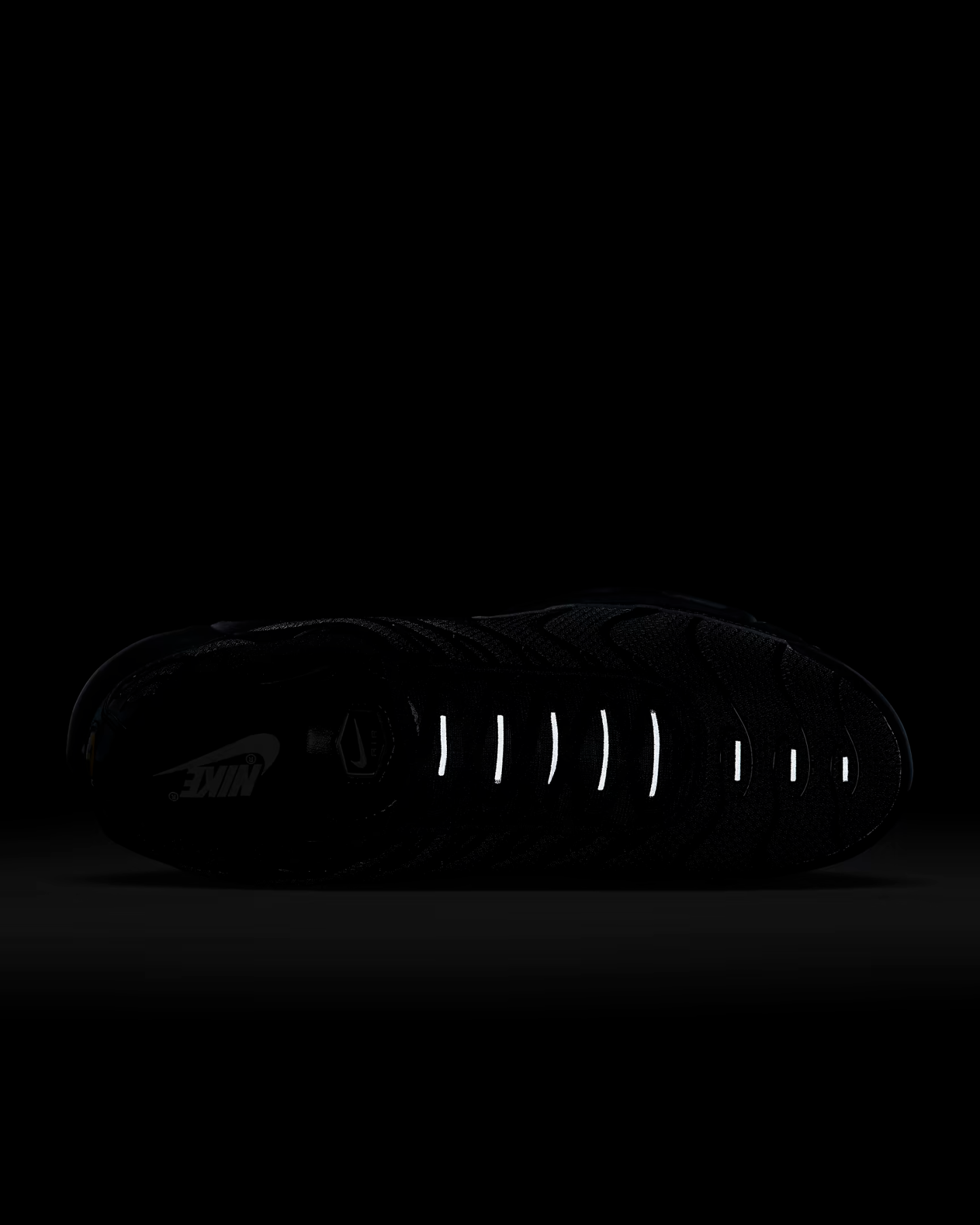 Nithtke Air Max Plus Triple Black