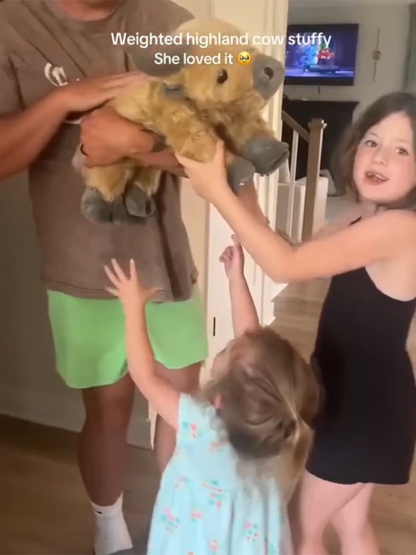 Hishland-Kuh Plüschspielzeug