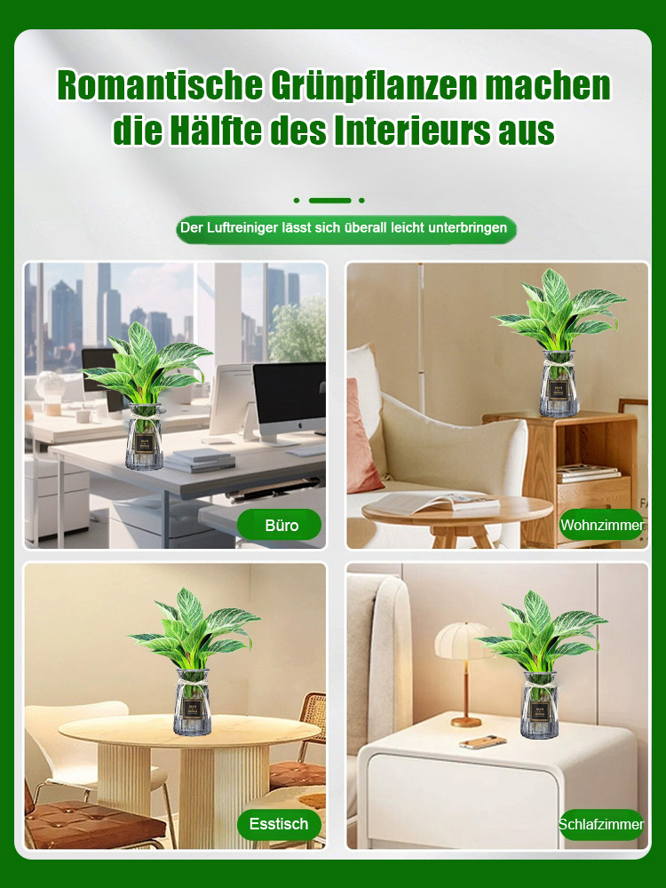 【Trockenheitsresistenter Giftkönig】Platin-Diamant-Grüne Prinzessin Topfpflanze mit großen Blättern