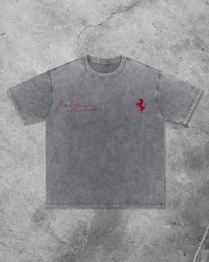 Charles Leclerc Printed Unisex Washed T-shirt