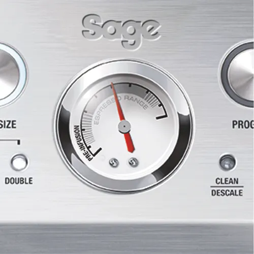 BES875Sage_DNA4.jpg