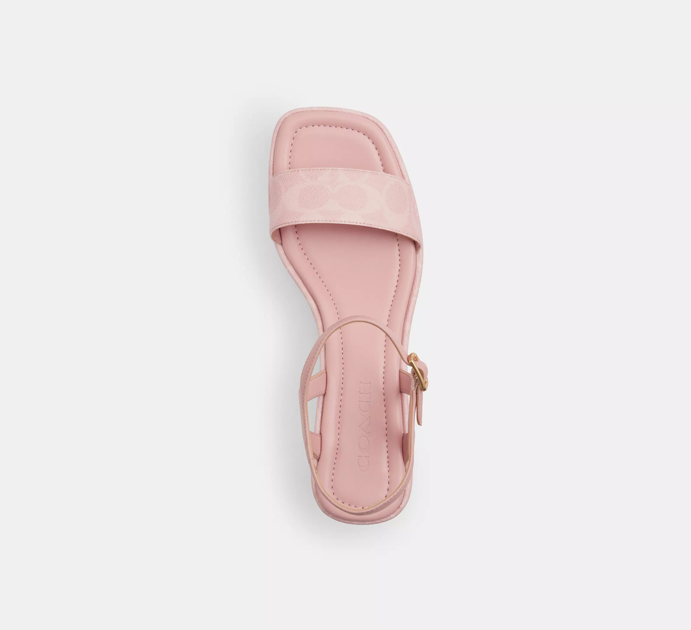 Gale Wedge Sandal In Signature Canvas
