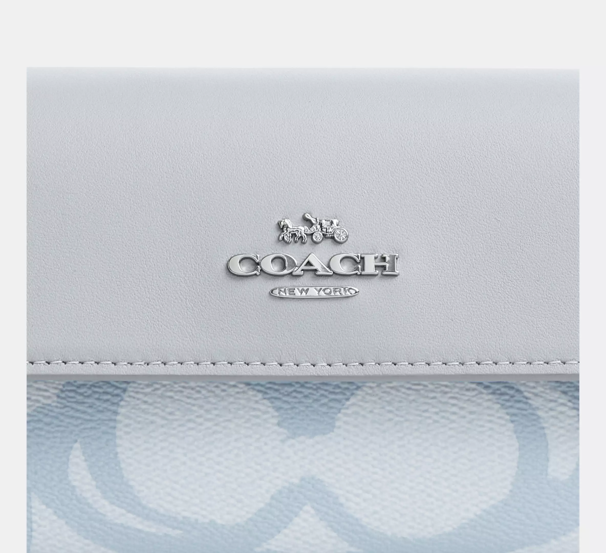 Hailey Flap Bag In Sketch Signature Canvas