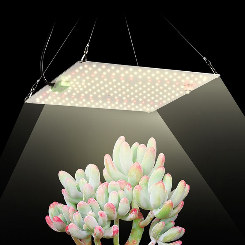 150 W full spectrum kwantum plantenlamp