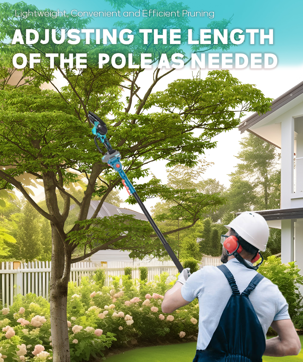 2,5 m uitschuifbare hoge takpaal