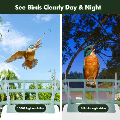 NestBirdy Smart AI Bird Feeder F9