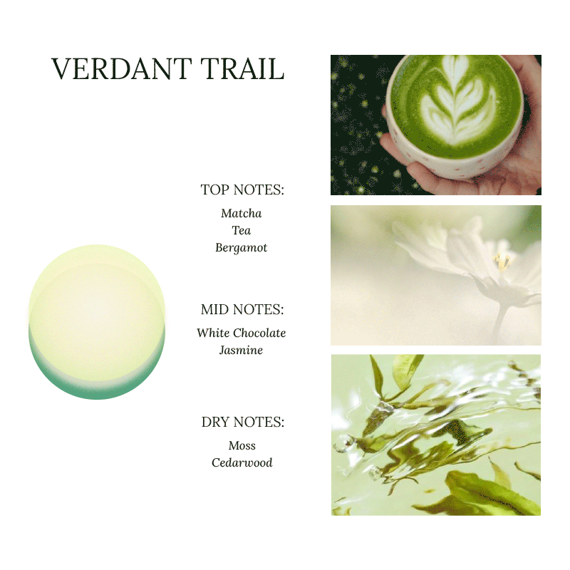 Verdant Trail – Scented Aromatherapy Sand Candle by TheFlows - image 3