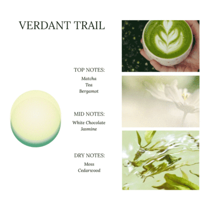 Verdant Trail – Scented Aromatherapy Sand Candle by TheFlows - image 3