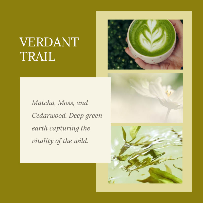 Verdant Trail – Scented Aromatherapy Sand Candle by TheFlows - image 2