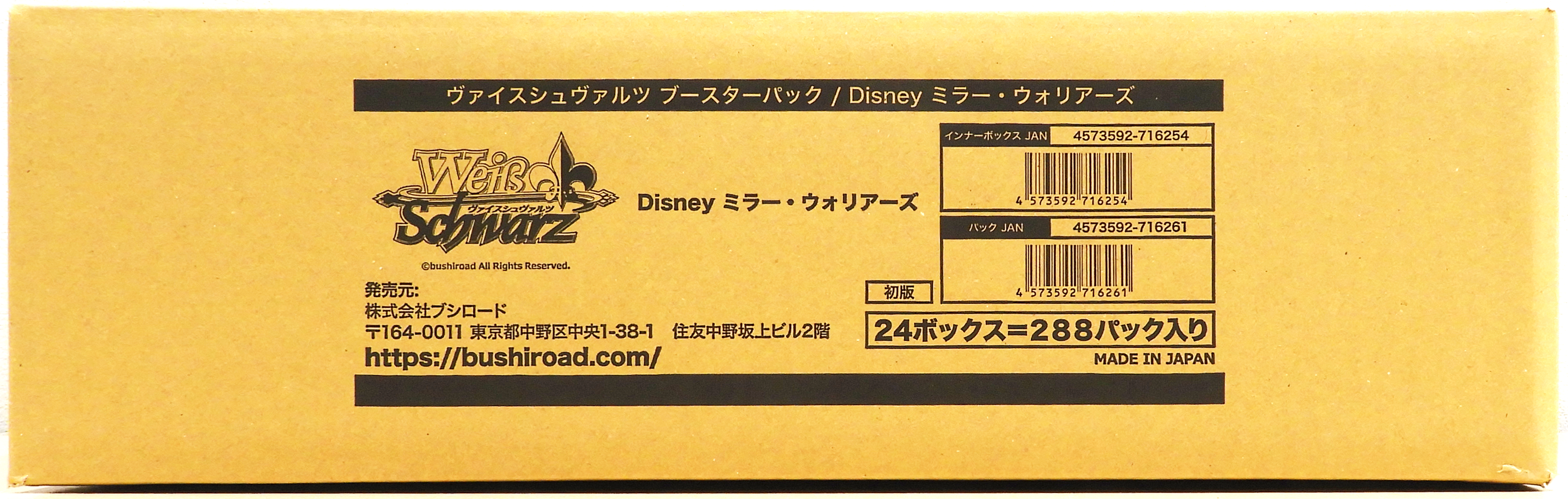 Disney Mirror Worriers