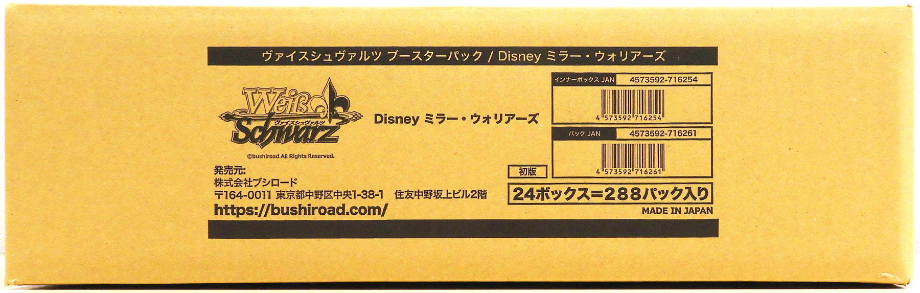 Disney Mirror Worriers