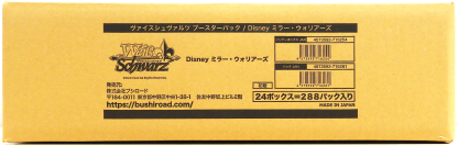 Disney Mirror Worriers