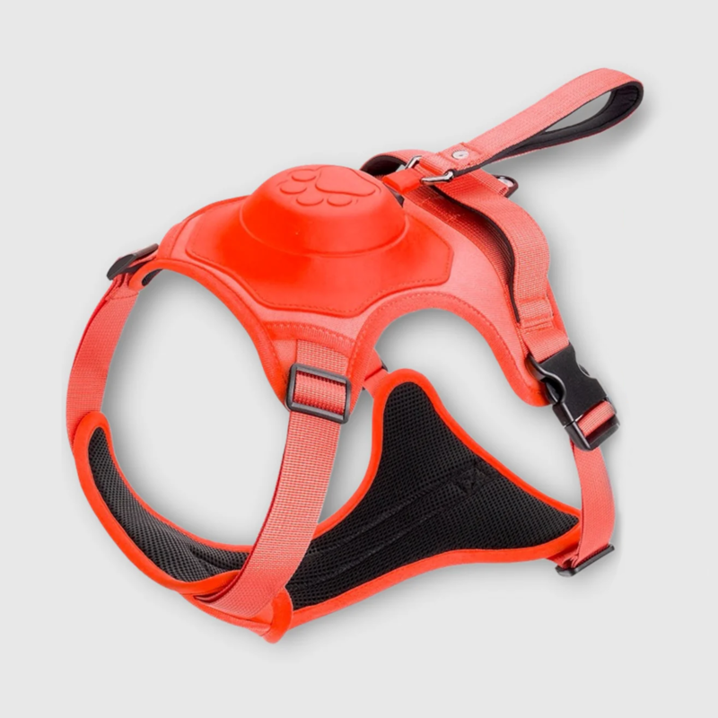DoggyKings™ 3 in 1 Dog Harness with Built-In Leash