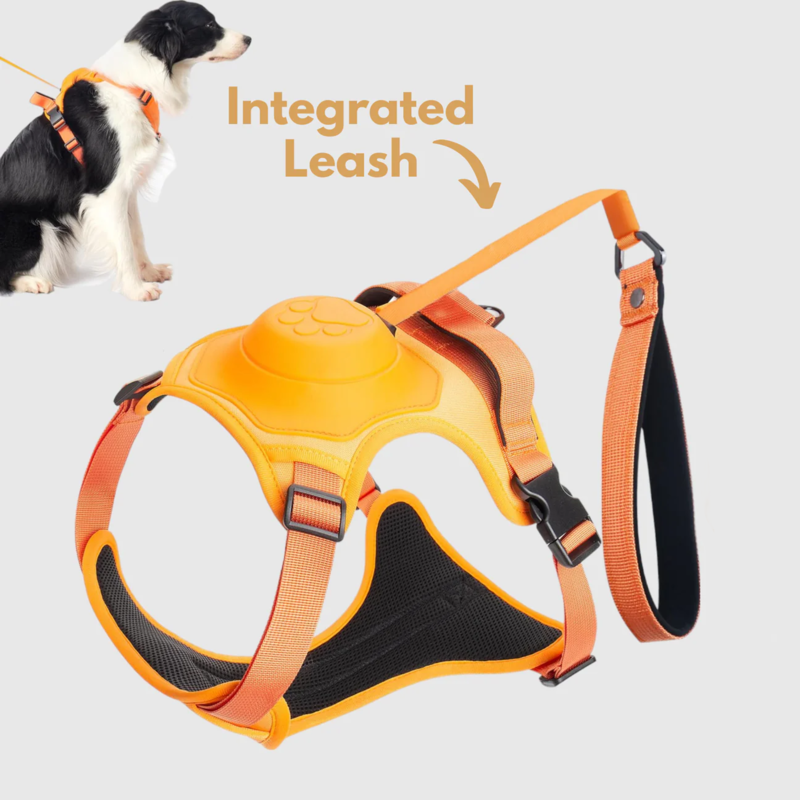 DoggyKings™ 3 in 1 Dog Harness with Built-In Leash
