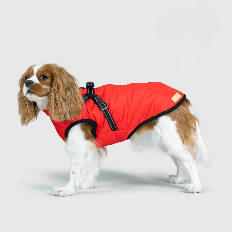 Waterproof Winter Jacket with Built-in Harness