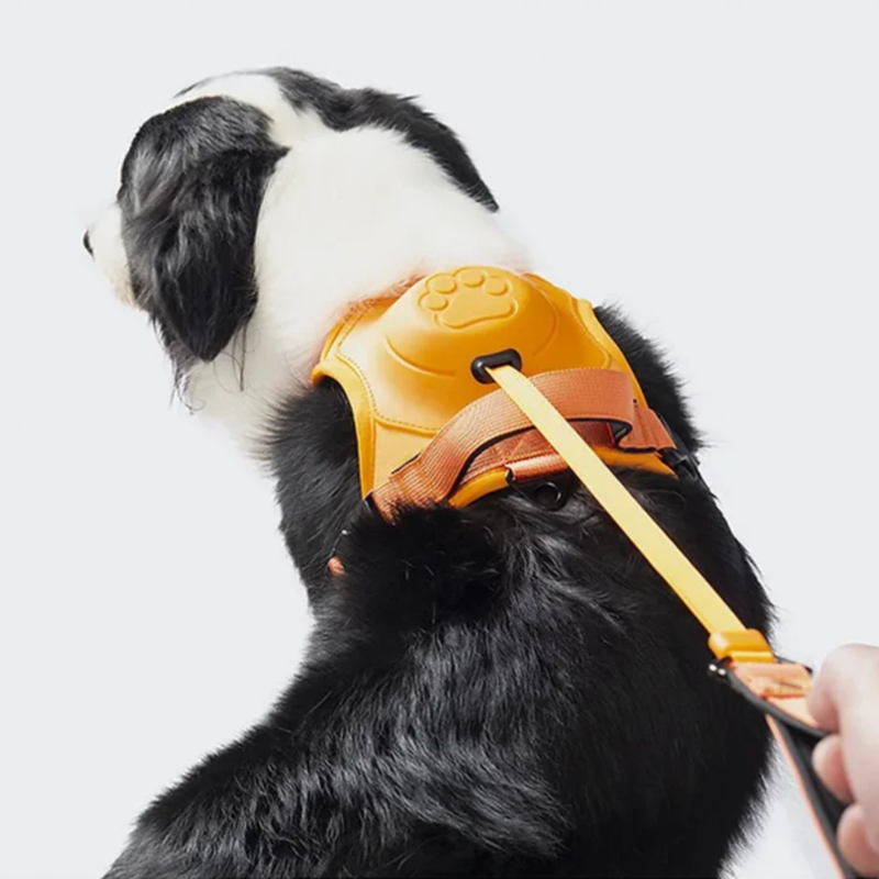 DoggyKings™ 3 in 1 Dog Harness with Built-In Leash