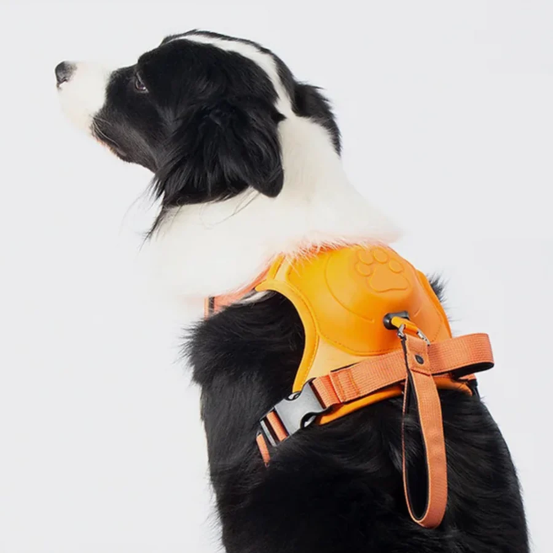 DoggyKings™ 3 in 1 Dog Harness with Built-In Leash