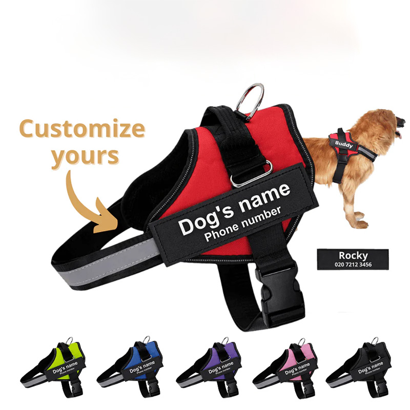 DoggyKings™ Ultimate Personalized No Pull Dog Harness