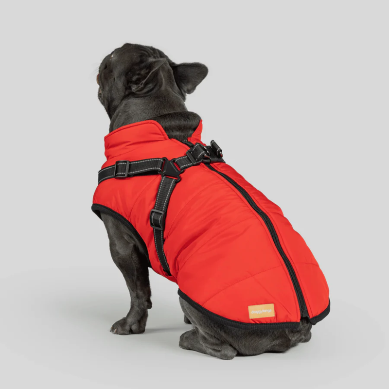 Waterproof Winter Jacket with Built-in Harness