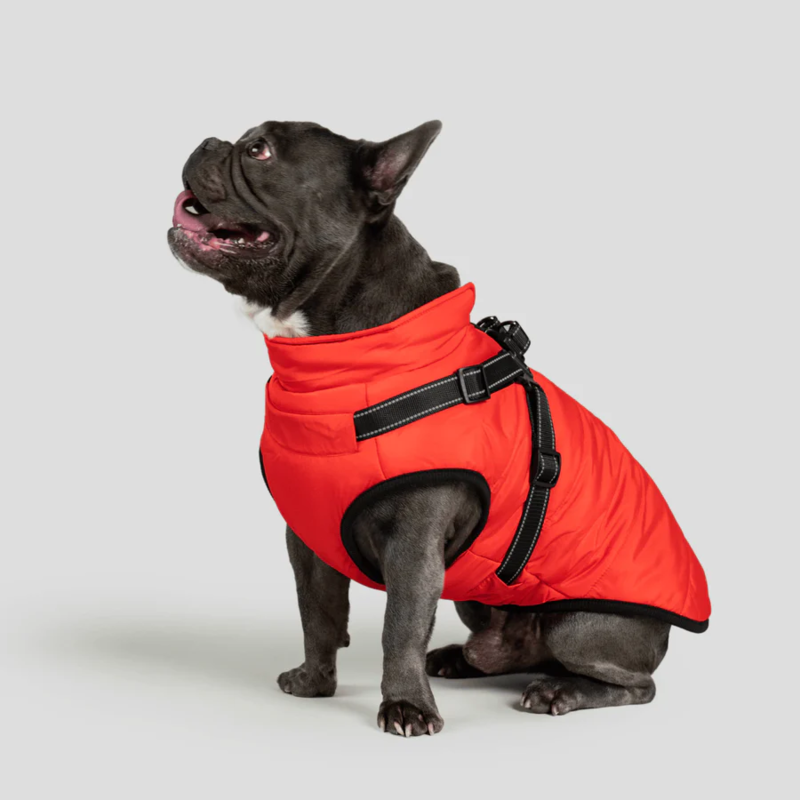 Waterproof Winter Jacket with Built-in Harness