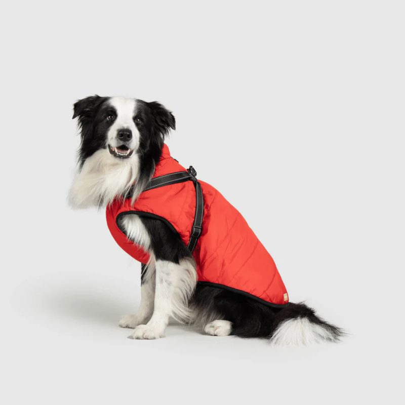 Waterproof Winter Jacket with Built-in Harness
