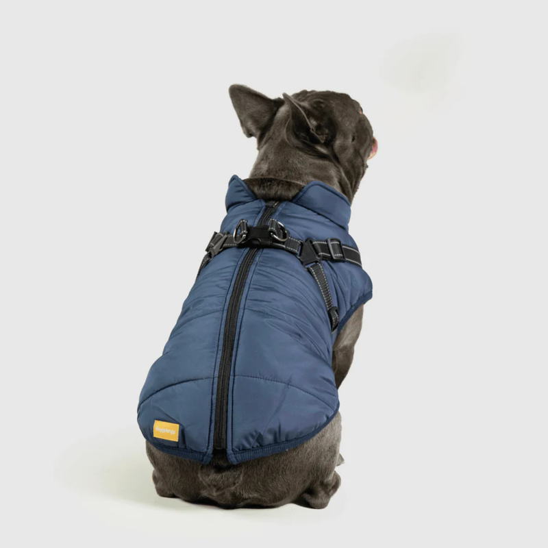 Waterproof Winter Jacket with Built-in Harness