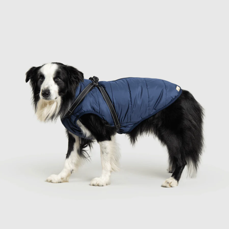 Waterproof Winter Jacket with Built-in Harness