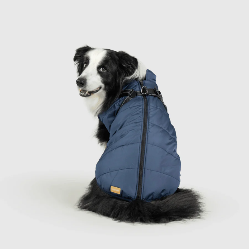 Waterproof Winter Jacket with Built-in Harness