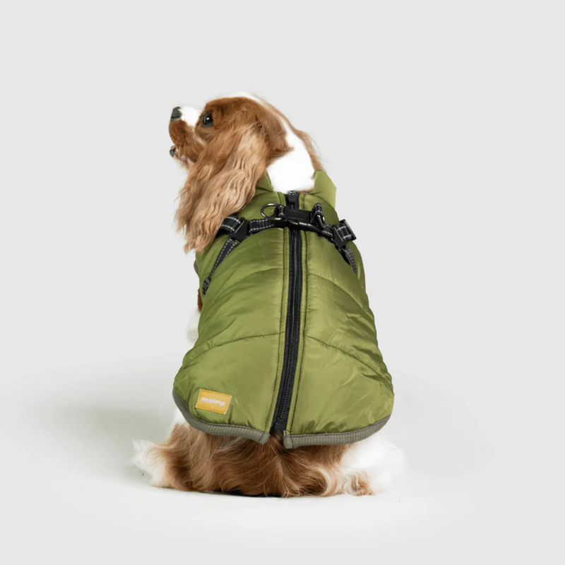 Waterproof Winter Jacket with Built-in Harness