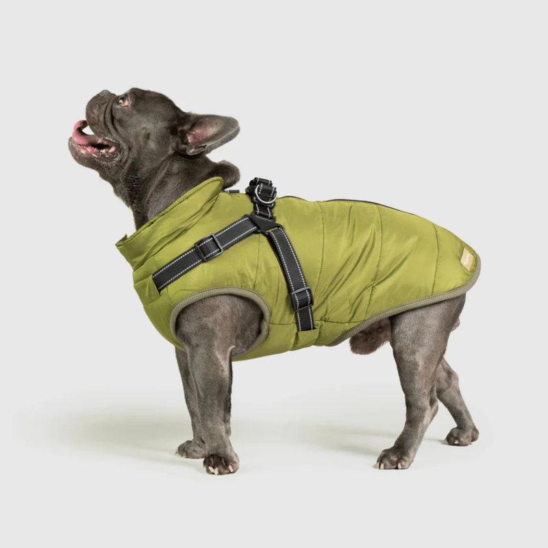 Waterproof Winter Jacket with Built-in Harness