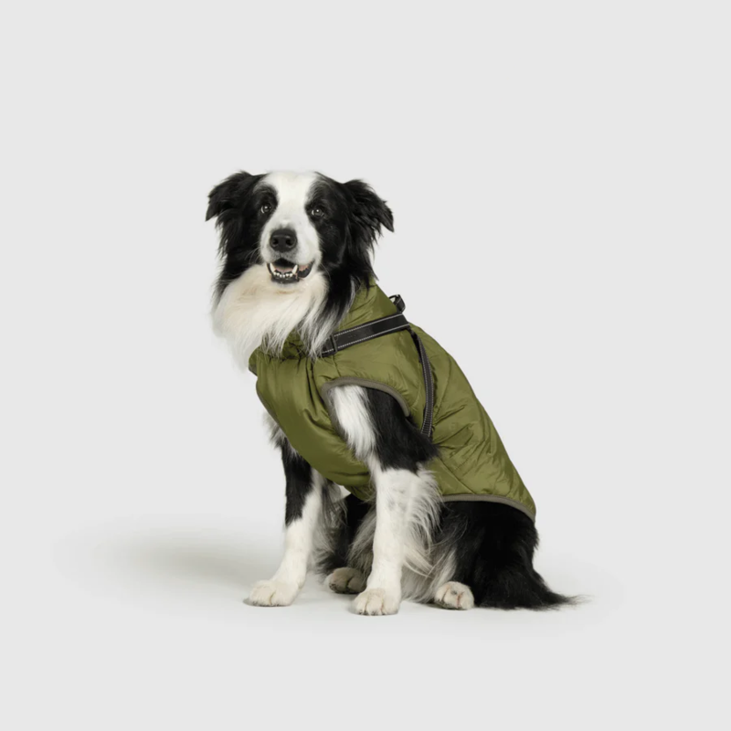 Waterproof Winter Jacket with Built-in Harness