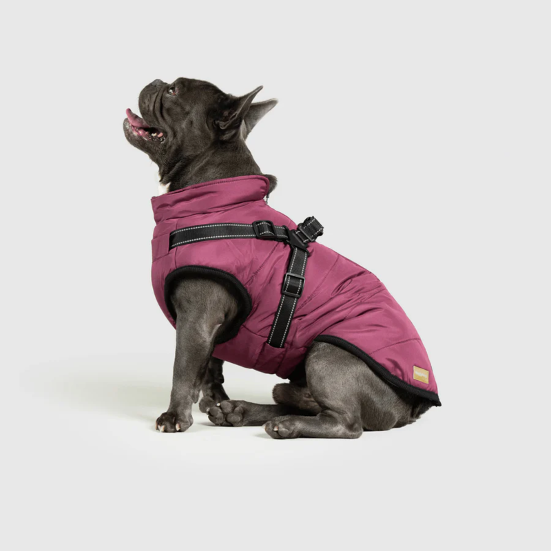 Waterproof Winter Jacket with Built-in Harness