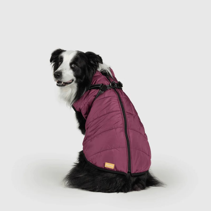 Waterproof Winter Jacket with Built-in Harness
