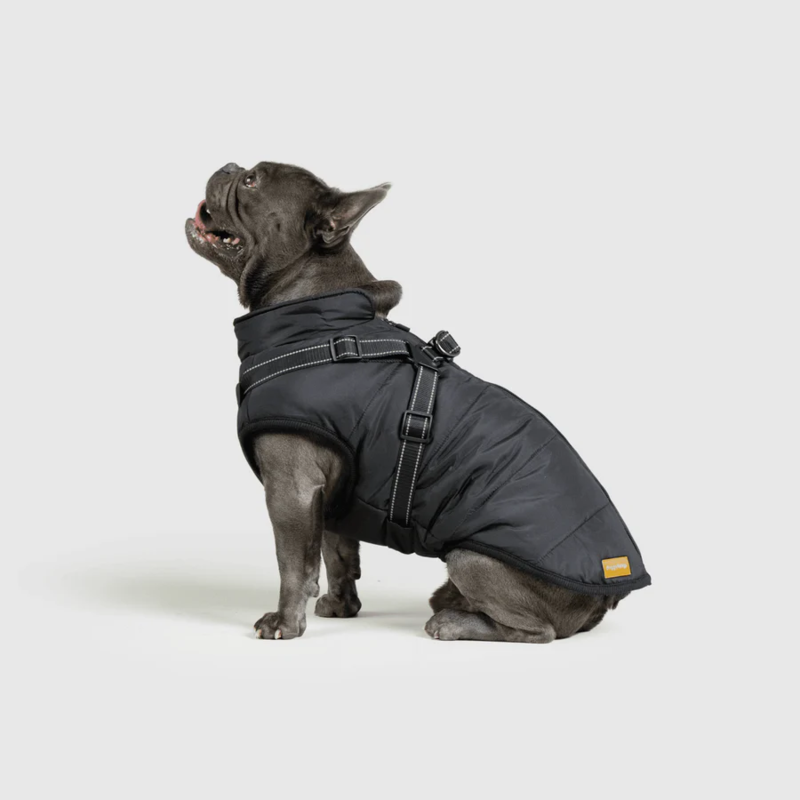 Waterproof Winter Jacket with Built-in Harness