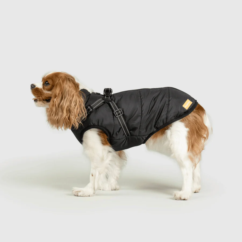 Waterproof Winter Jacket with Built-in Harness