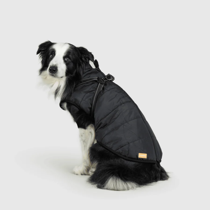 Waterproof Winter Jacket with Built-in Harness