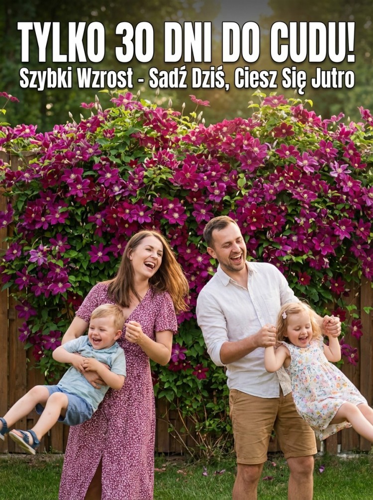 🌸Zasadź teraz, a już w kwietniu Twój ogród będzie zalany morzem kwitnących kwiatów! 🌸