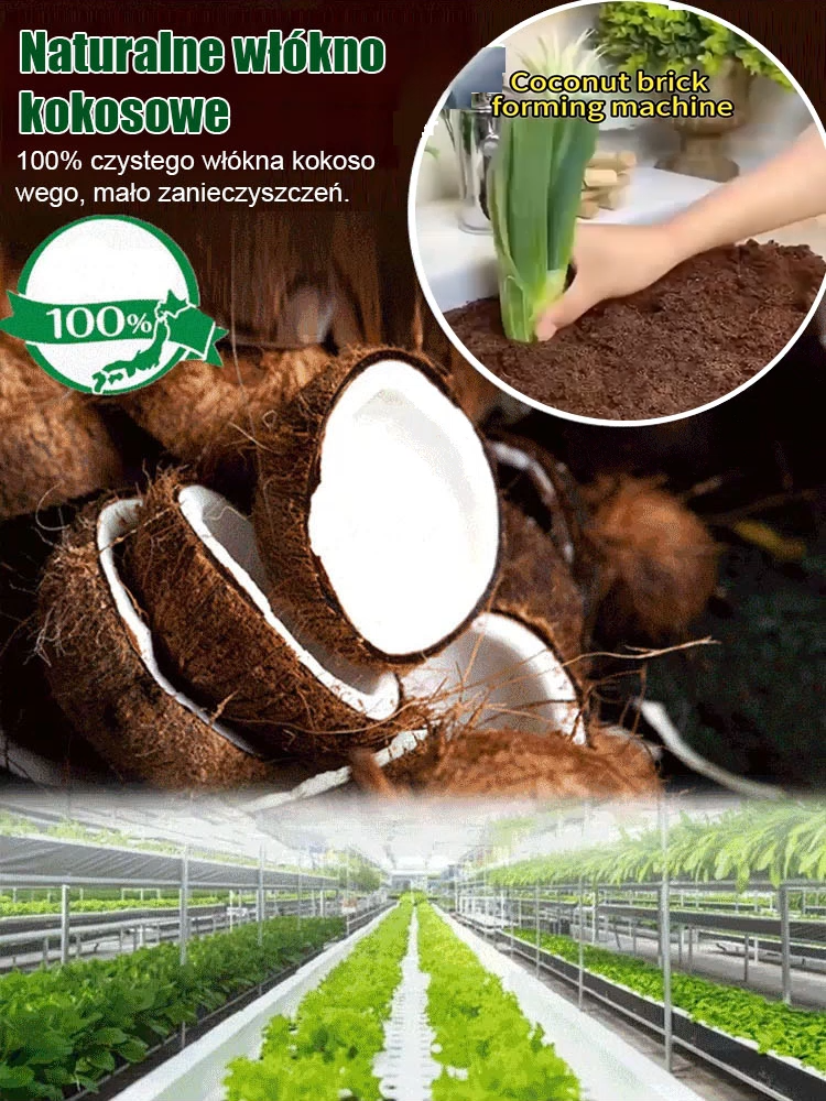 🌿 Wzmacniaj aktywność korzeni, rozwiązuj problemy z niedoborem składników odżywczych u roślin