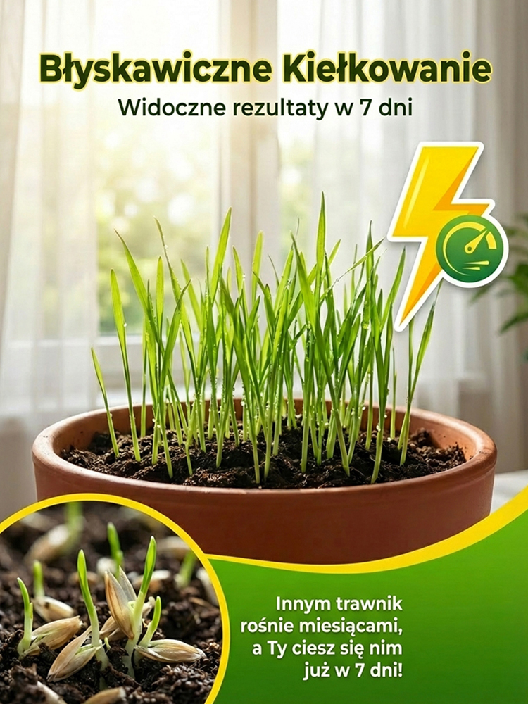 🌾 Stwórz ciągły trawnik w zaledwie 7 dni