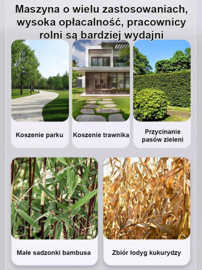 ✅ Producent wyprzedaje magazyn w Europie, prawie za darmo! ✅