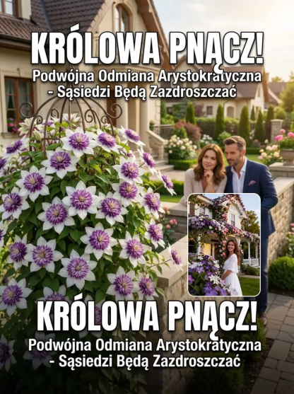 🌸Zasadź teraz, a już w kwietniu Twój ogród będzie zalany morzem kwitnących kwiatów! 🌸