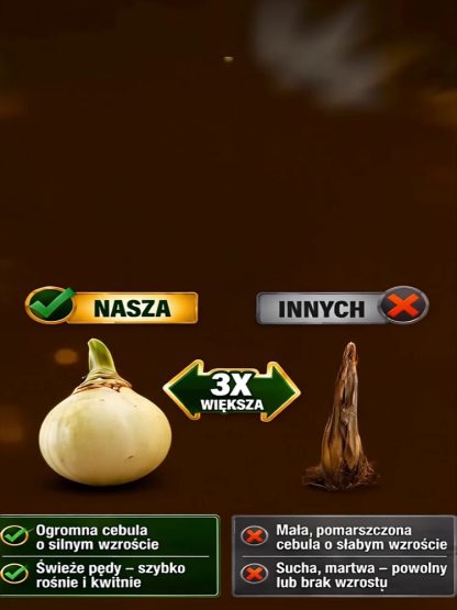 🌵 Odkryj różę pustyni – przetrwa z łatwością nawet bez wody! Wytrzymuje bez podlewania aż do 30 dni, więc nie musisz się martwić, nawet gdy wyjeżdżasz w podróż.