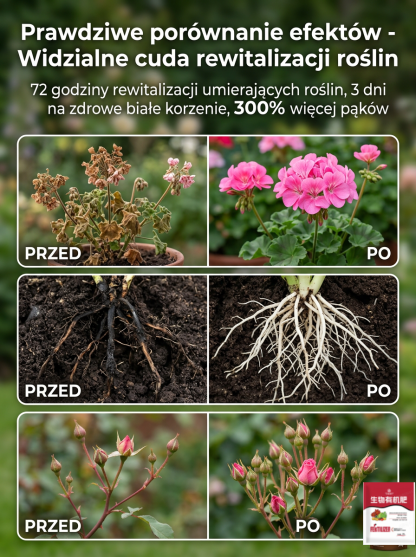  🌿Koniec z żółtymi liśćmi i gniciem! Silnie poprawia strukturę ziemi, rośliny piją "odżywczą zupę" każdego dnia!