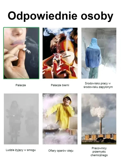 🔥Oczyść powietrze w pomieszczeniach i usuń toksyny z organizmu🔥