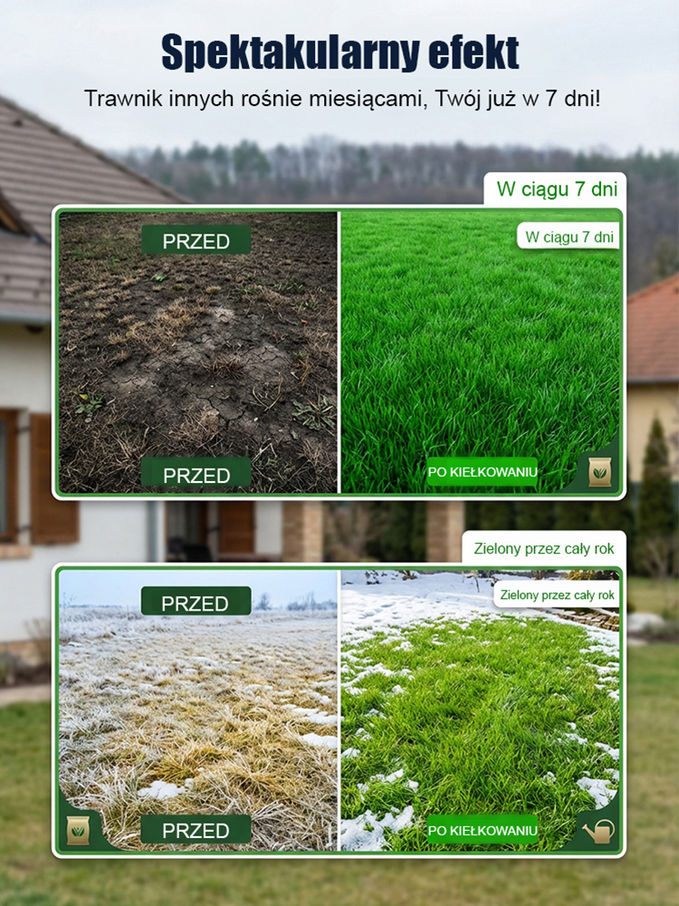 🌾 Stwórz ciągły trawnik w zaledwie 7 dni