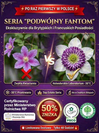 🌸Zasadź teraz, a już w kwietniu Twój ogród będzie zalany morzem kwitnących kwiatów! 🌸