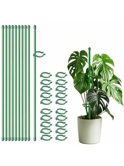 green plant stakes and clips supporting a monstera plant in a white pot