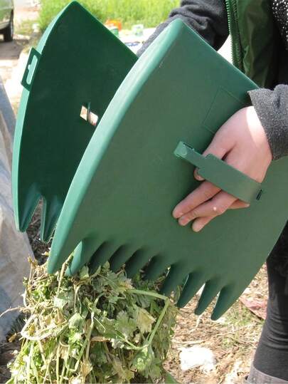 Person using a green garden weeding tool to gather dry leaves and grass