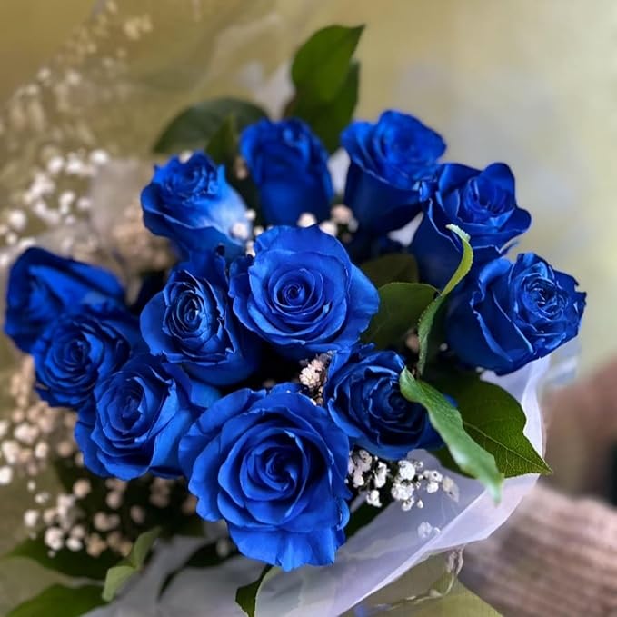 120+ Exotic Rose Seeds for Planting Hybrid Rare Rose
